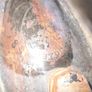 Beautiful Rare Antique Gas Clothes Iron, postage available on all my items or collection Image 4