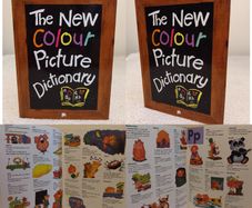 the new colour picture dictionary HARDBACK