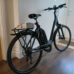Raleigh motus ebike