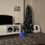 Christmas tree Image 2