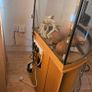 Reptile Tank and Cabinet Image 5
