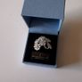 Ring Image 5