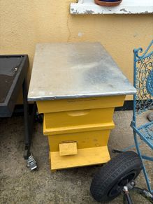 bee hive