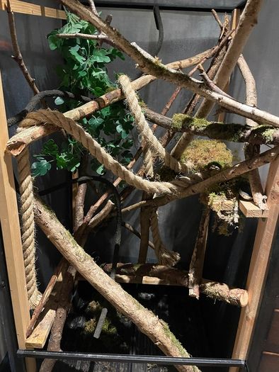 Reptile Enclosure