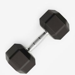12.5kg dumbbell
