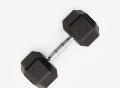 12.5kg dumbbell