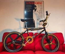 raleigh burner