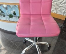 Beauty Salon Chair