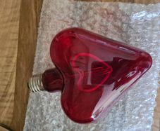 Light Bulb