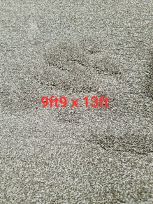 carpet 9ft9 x 13ft