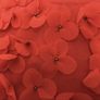 Ted Baker Red Peony Chiffon Embellished Dress Image 2
