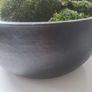 Preserved moss planter Image 4