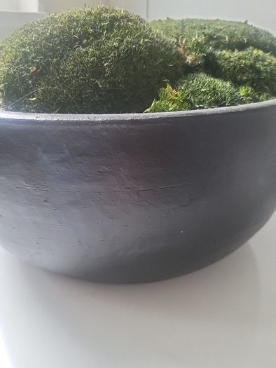 Preserved moss planter