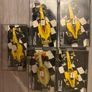 Jordan Formula 1 Image 8
