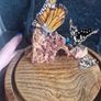 cloche display butterflies Image 5