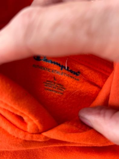 Champion hoodie