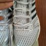 Trainer(NEW) Image 5