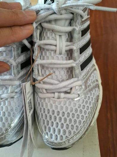 Trainer(NEW)