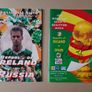 IRELAND football autographs - various signed items Image 5