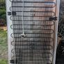 Bosch Serie 4 fridge freezer Image 10