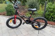 18 Inch Space Shuttle Bike