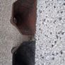 cast iron hopper Image 2
