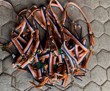 Equestrian Bundle