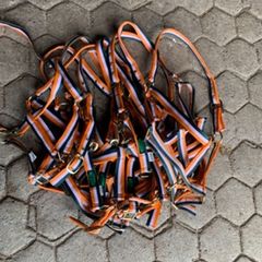 Equestrian Bundle
