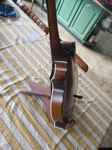 Coostar F5 Mandolin