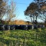 Round bale silage Image 4