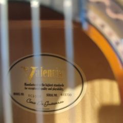 Acoustic guitar