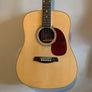 Brunswick Acoustic Guitar Image 2