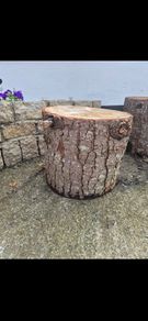 log stools x 5