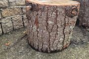 log stools x 5