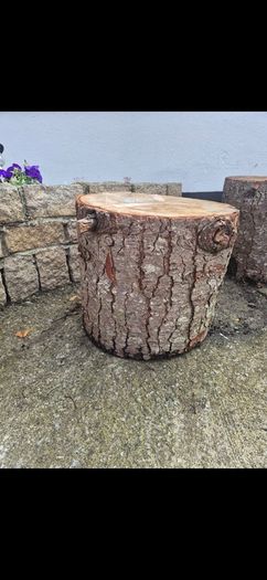 log stools x 5