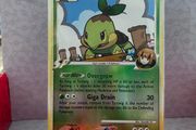 pokemon card turtwig reverse