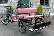 Ebike 3 Wheel Taxi