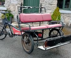 Ebike 3 Wheel Taxi