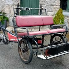 Ebike 3 Wheel Taxi