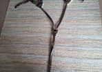 Breastplate 5 point.Shires