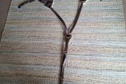 Breastplate 5 point.Shires