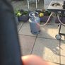 patio BBQ Image 4