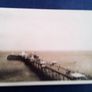 Llandudno Pier. Photo 1923. Image 2
