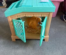 Children's Toys
