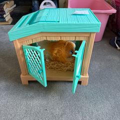 Children's Toys