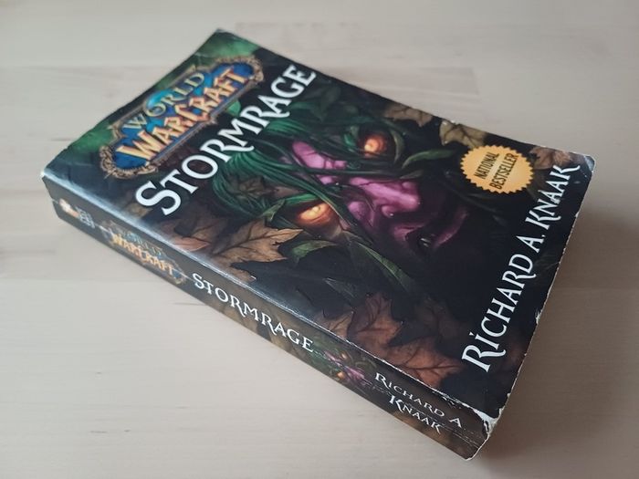 World of Warcraft - Stormrage by Richard A. Knaak (Fantasy Illustrated Paperback 2010)