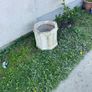 flower pots Image 5