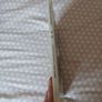 The Catland Companion Hardcover John Silvester Image 4