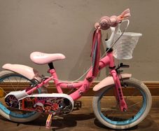 16 inch girls bike, LOL