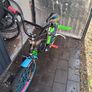 20 inch Milan bike Image 2